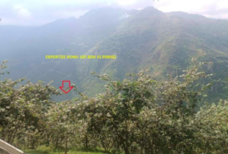 GİRESUN BULANCAK'TA 4.652 M2 SATILIK FINDIK BAHÇESİ